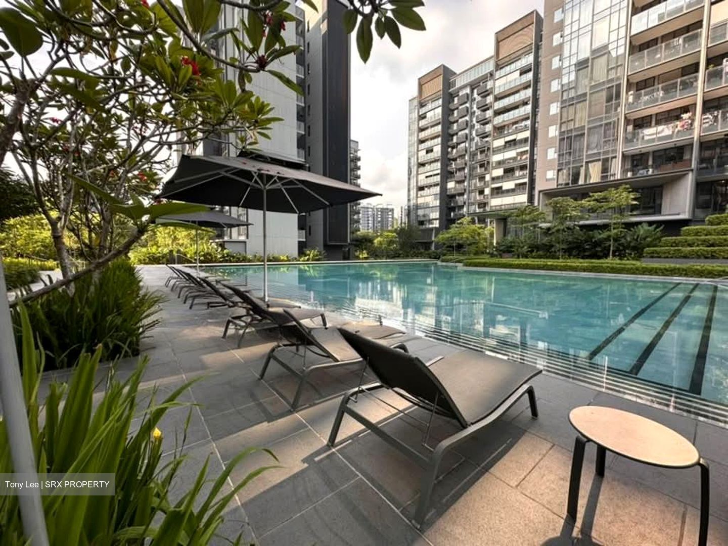 Leedon Green (D10), Condominium #555026971